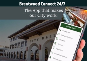 Brentwood Connect 247 App News Thumbnail