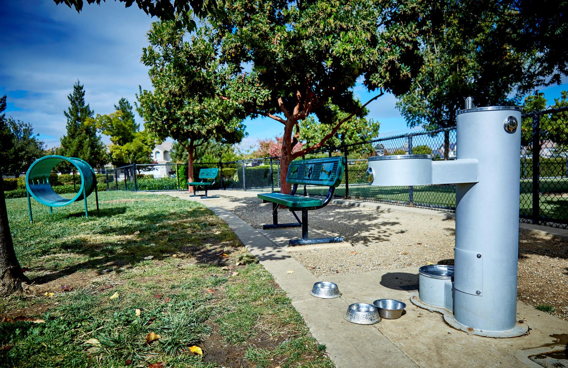 King Dog Park Water Fountain