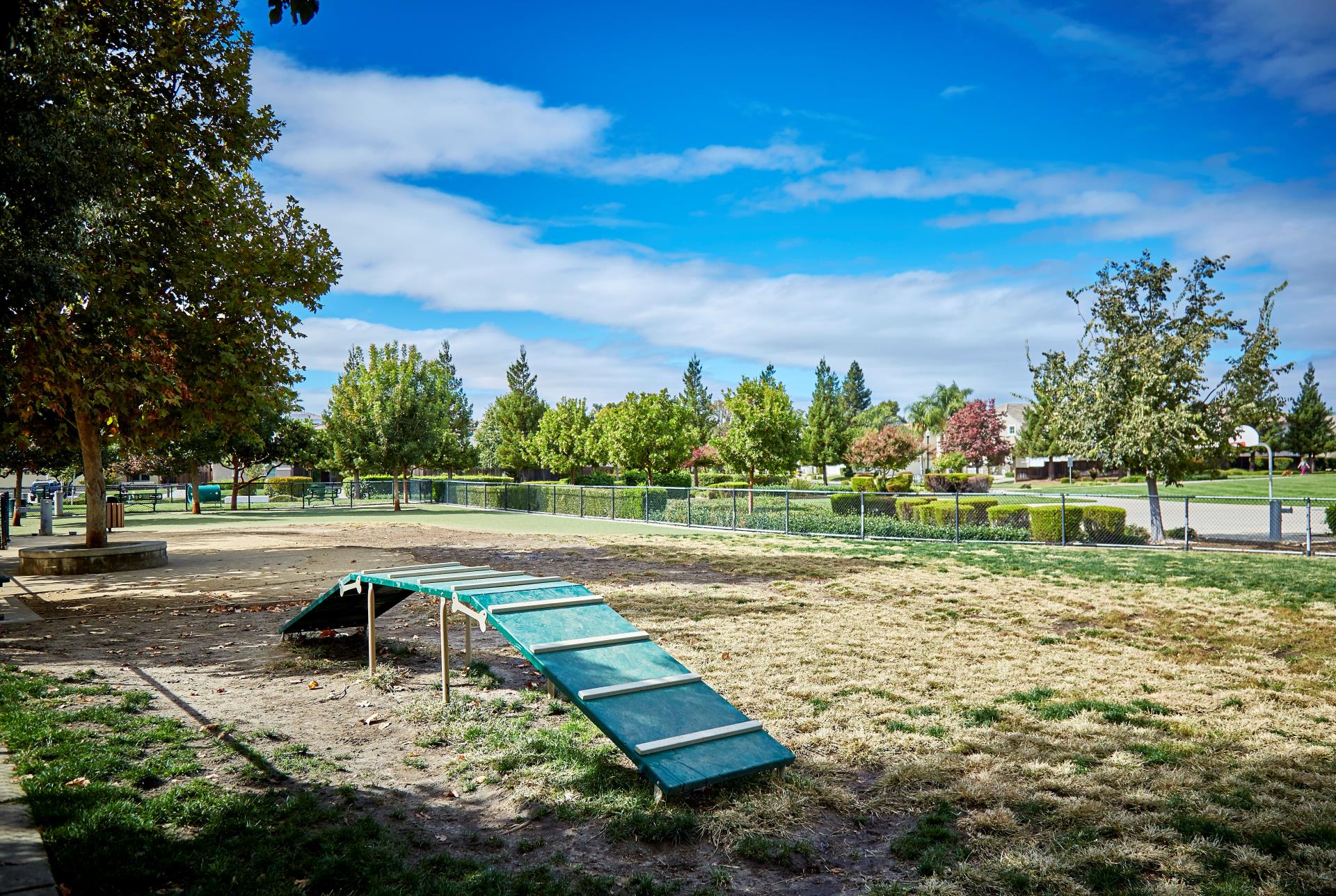 King Dog Park Obstacle Ramp