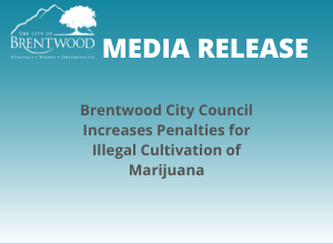 Media Release- Increase Penalties for Illegal Cultivation of Marijuana