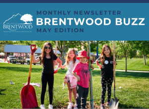 May Brentwood Buzz Thumbnail