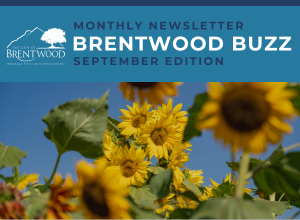 September Brentwood Buzz Thumbnail