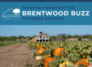 October Brentwood Buzz Thumbnail