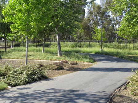 Bike Trails - Lanes